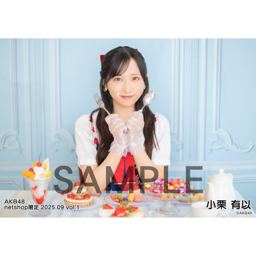 予約商品】AKB48 2025年9月度 net shop限定個別生写真5枚セットvol.1