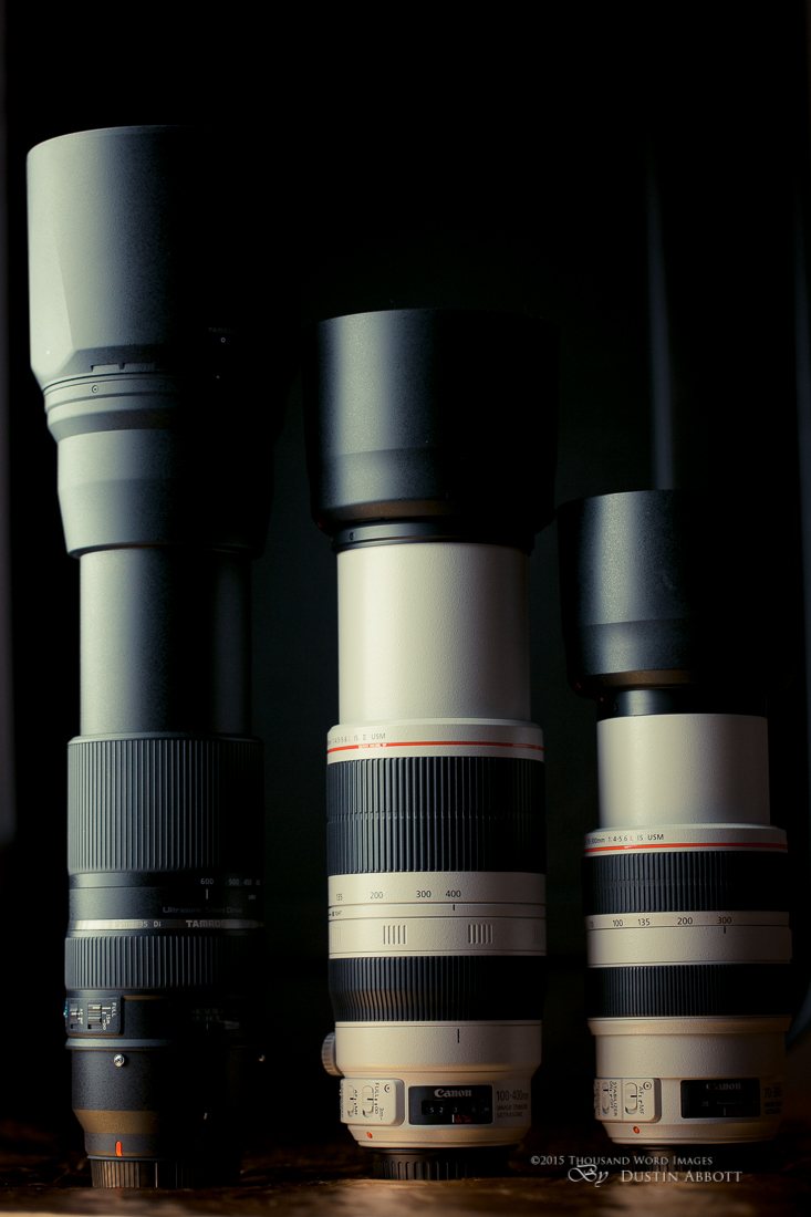 Canon EF 100-400mm f/4.5-5.6L IS USM II Review - DustinAbbott.net