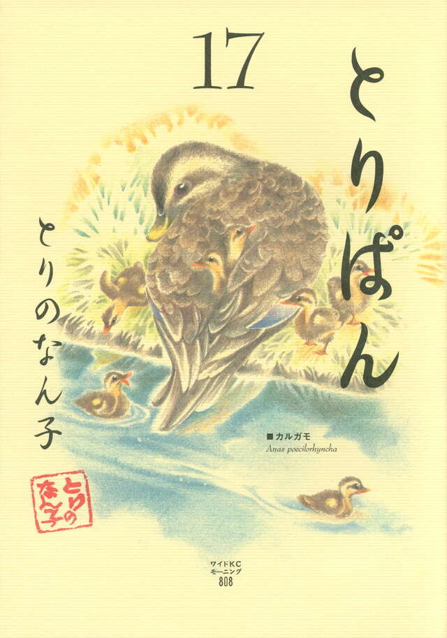 とりぱん（17）』（とりの なん子）｜講談社