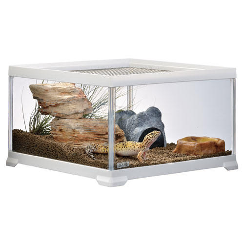 よろずやマルシェ本店 | ジェックス レオパ飼育キット M 2個セット