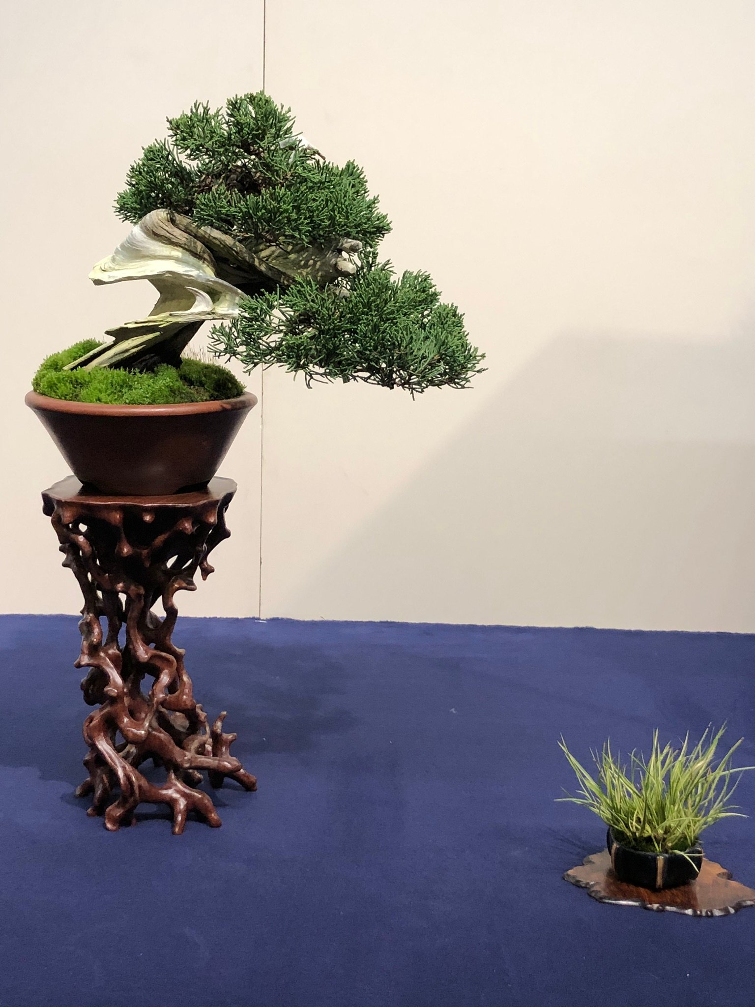 2026年 国風盆栽展 - 出発前に知っておくべきことすべて