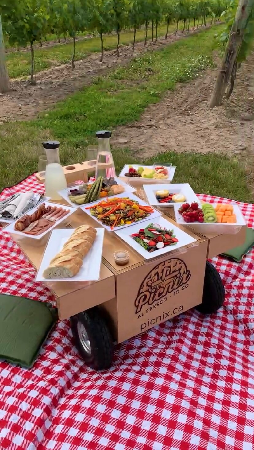 Picnix Niagara (2026) All You MUST Know Before You Go (w/ Reviews)