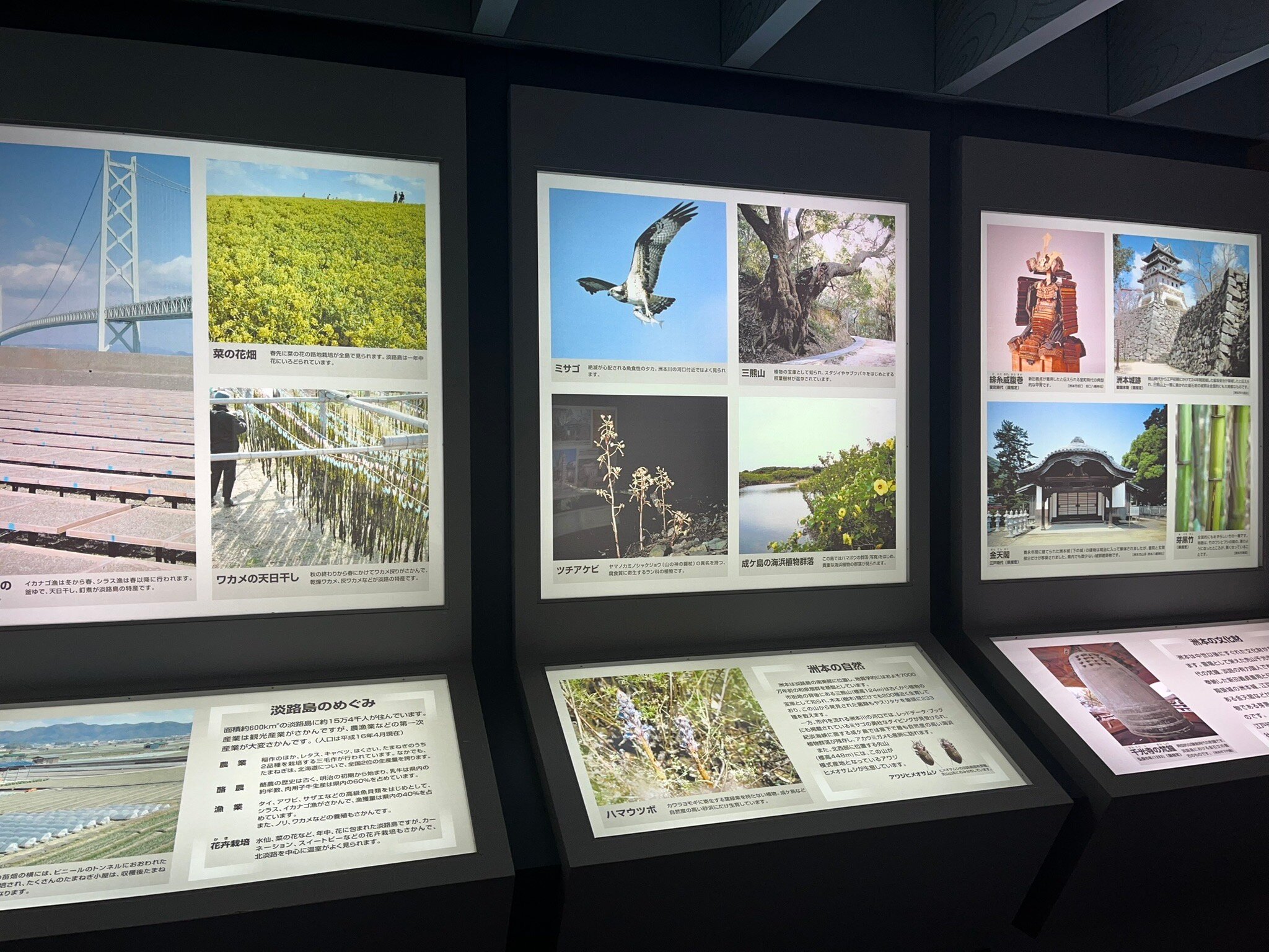 2026年 洲本市立 淡路文化史料館 - 出発前に知っておくべきことすべて