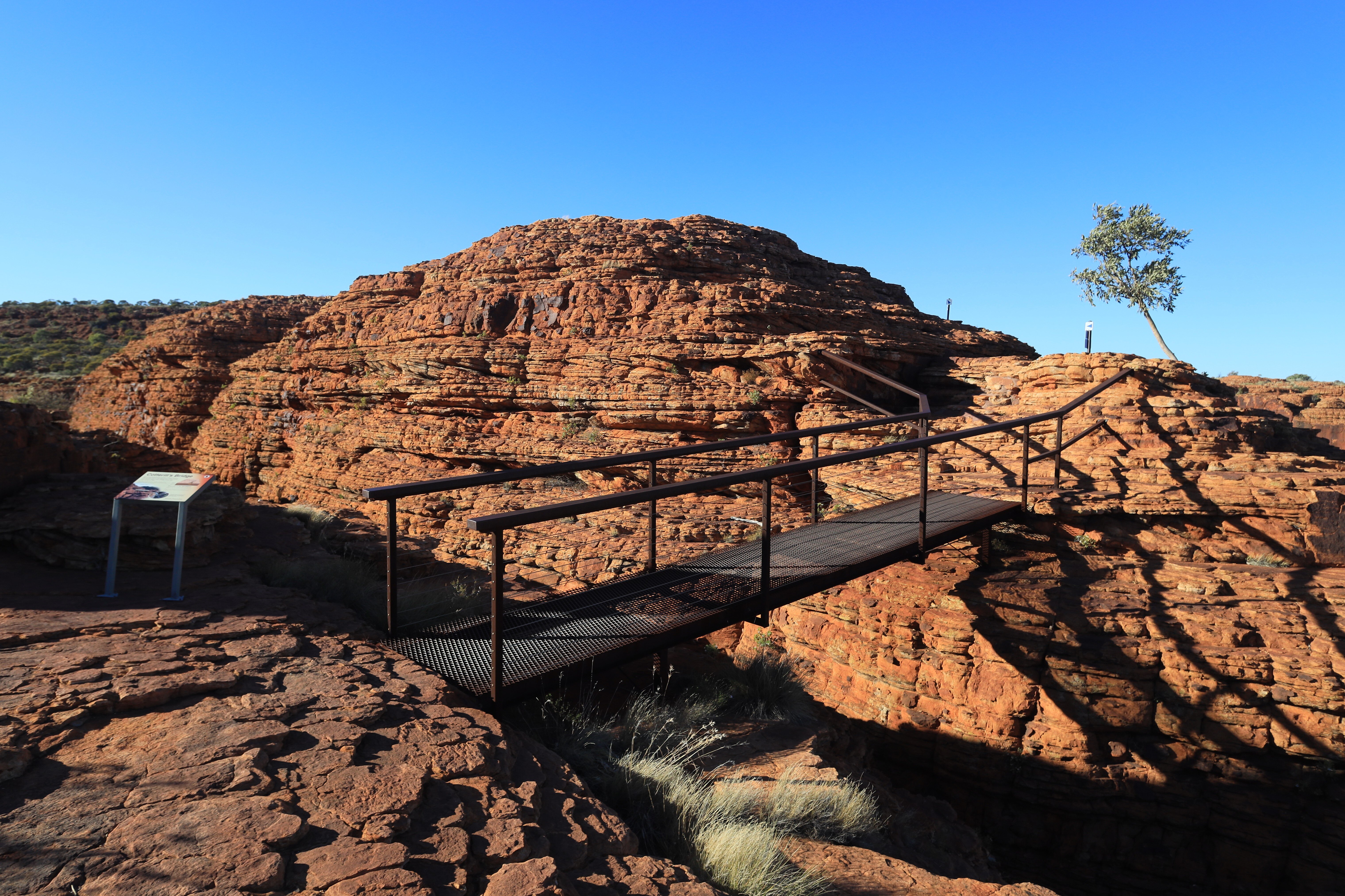 2026年 キングス キャニオン - 出発前に知っておくべきことすべて