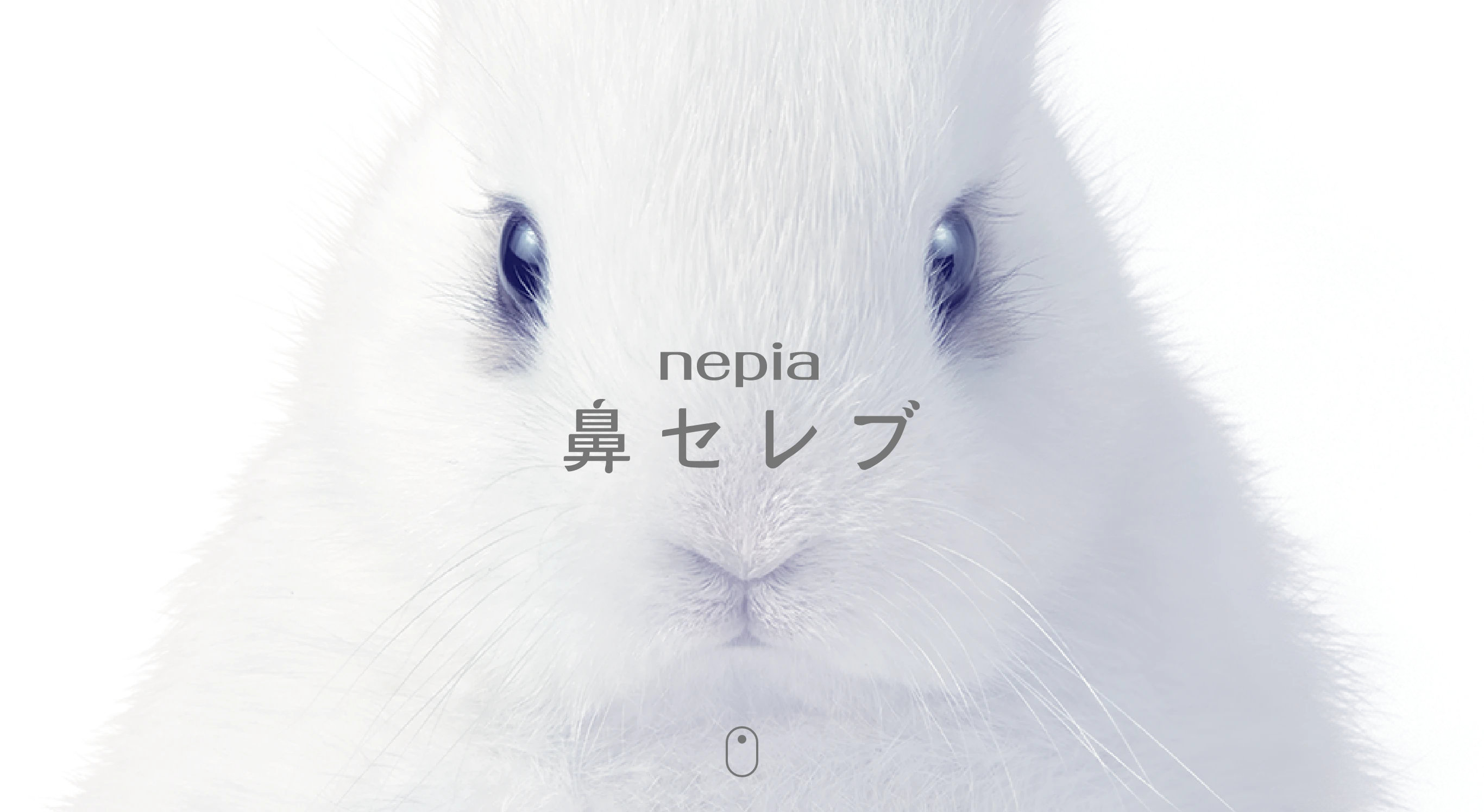 ネピア 鼻セレブ｜nepia