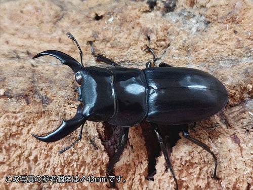 2508240002-01_f32e01cb-5cd9-