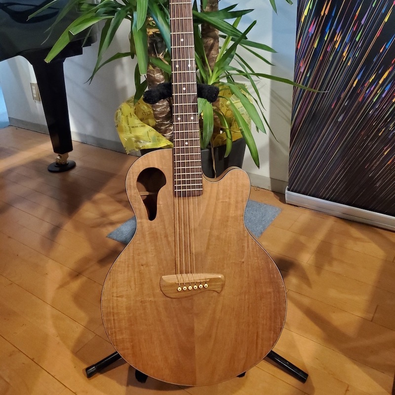 小川楽器オンラインショップ / マーチン エレアコ DRS2