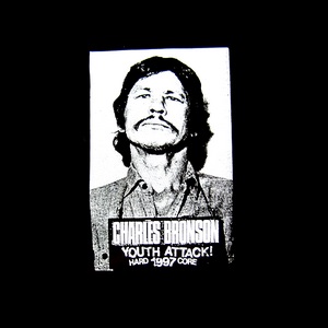 Youth Attack! by Charles Bronson (Album; Coalition; LKW 10001