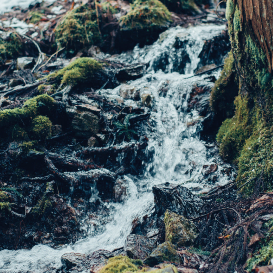 フェイスマスク デイリーケア｜reint｜八海山オンラインストア