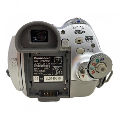 Panasonic (パナソニック) デジタルビデオカメラ 2005年製 NV-GS250