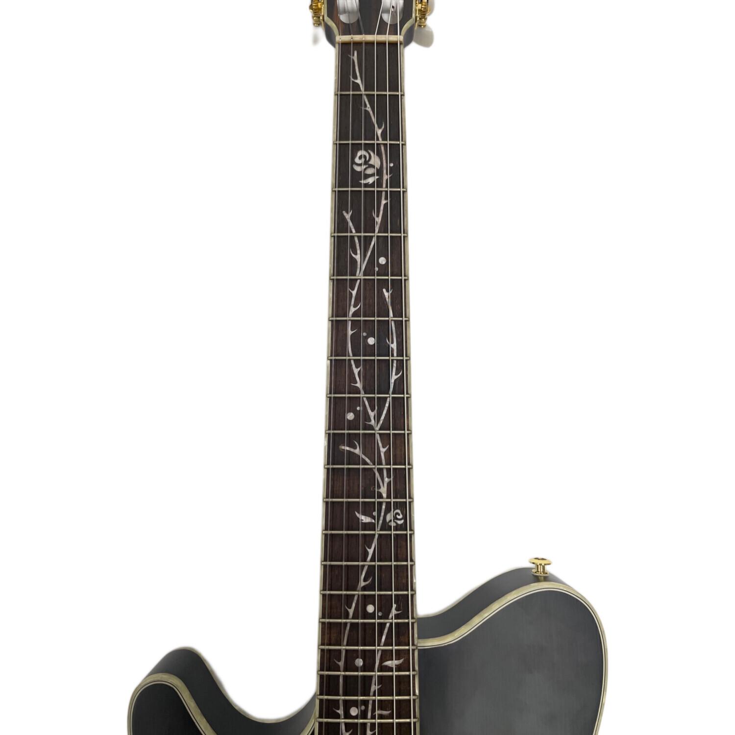 IBANEZ (アイバニーズ) エレガットギター TOD10NL-TKF Tim Henson