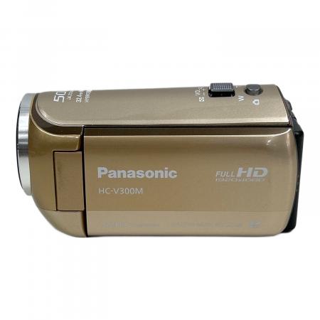 Panasonic (パナソニック) デジタルハイビジョンビデオカメラ HC-V300M