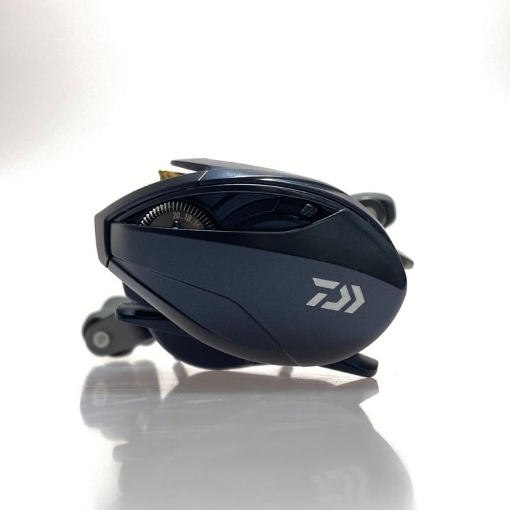 DAIWA ダイワ スティーズ A2 TW 1000H 右ハンドル 00613384 (309724