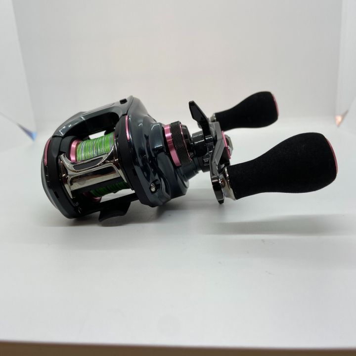 ΨΨ DAIWA ダイワ 両軸リール 紅牙 IC 100P-RM 本体のみ 630000 - 中古
