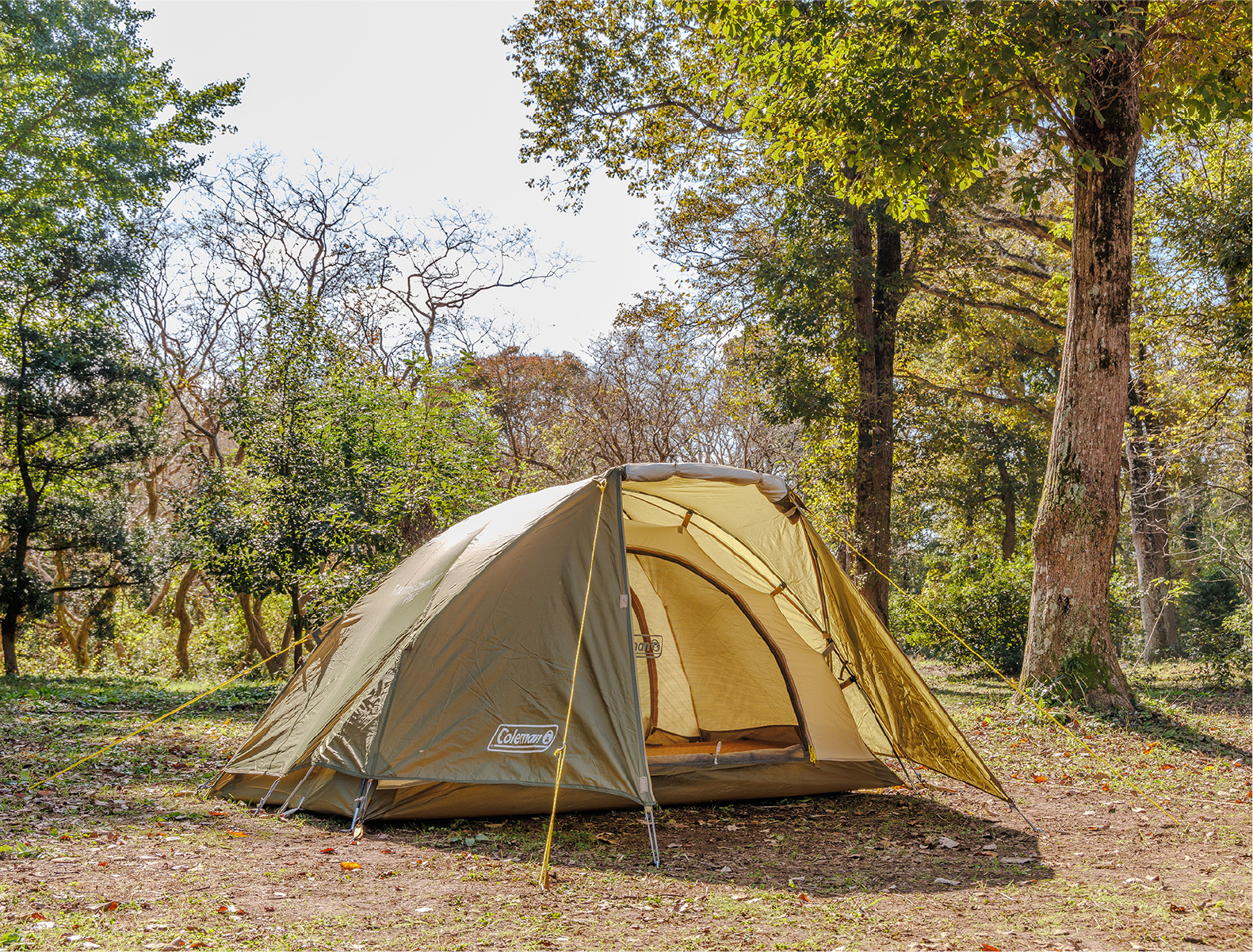 ツーリングドーム/ST | アウトドア用品・キャンプ用品のコールマン