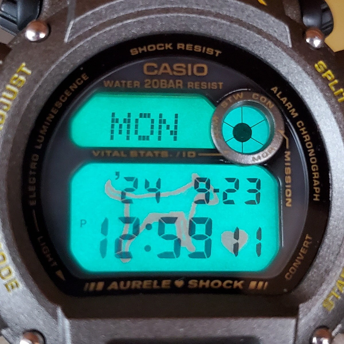 DW-8800 agnes b – G-BRIDGES