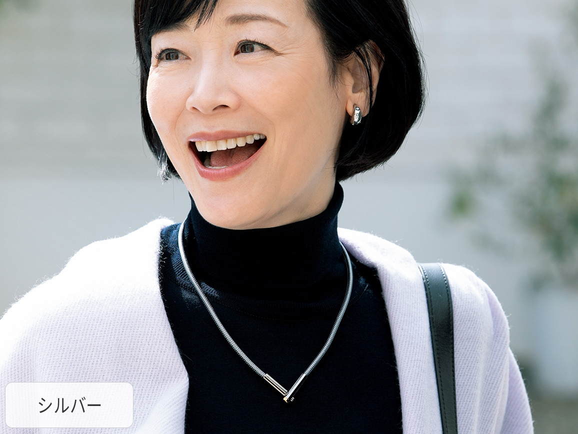 ファイテン RAKUWA磁気チタンネックレスVタイプ(72_シルバー