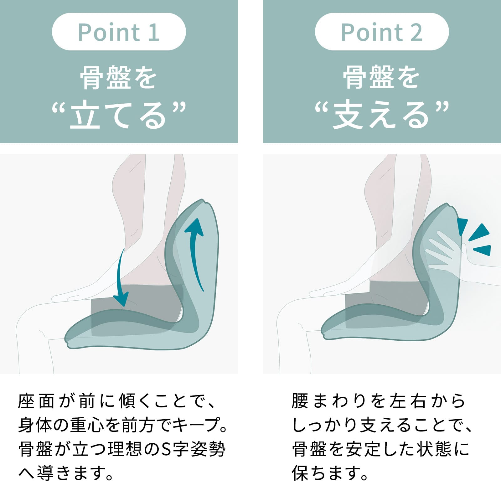 スタイルプレミアム デラックス 骨盤 猫背 姿勢 送料無料 クッション