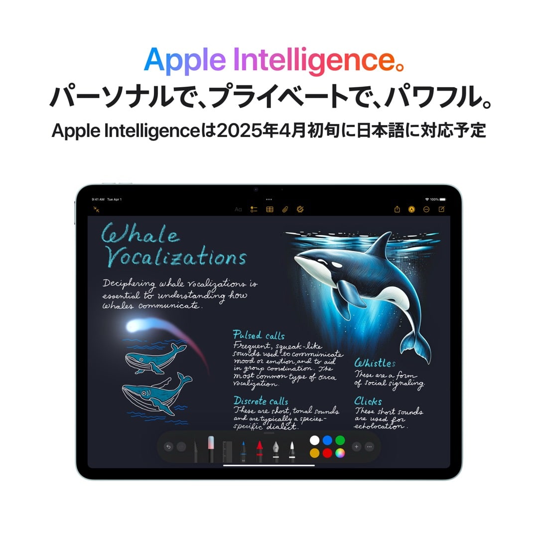 13インチiPad Air Wi-Fi + Cellularモデル 256GB - スペースグレイ