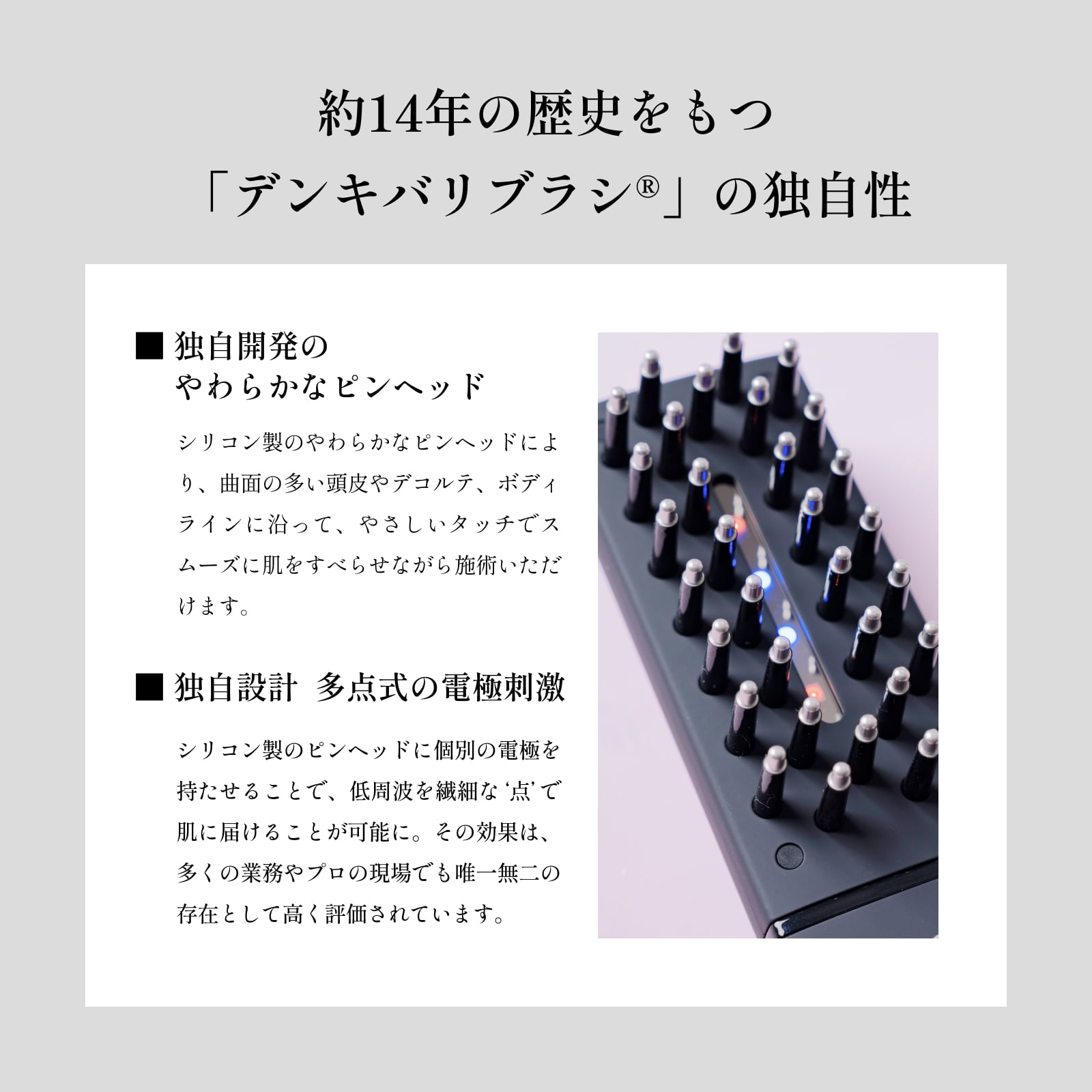 エレクトロン］デンキバリブラシ(R)2.0＋ボディ (電気バリブラシ