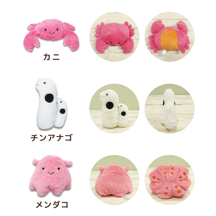 mic21ダイビングショップ[ 内藤デザイン研究所 ] 海中散歩 ぽちゃまる