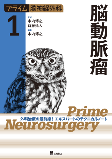 m3電子書籍 | プライム脳神経外科 3 脳・脊髄動静脈奇形と頭蓋内・脊髄