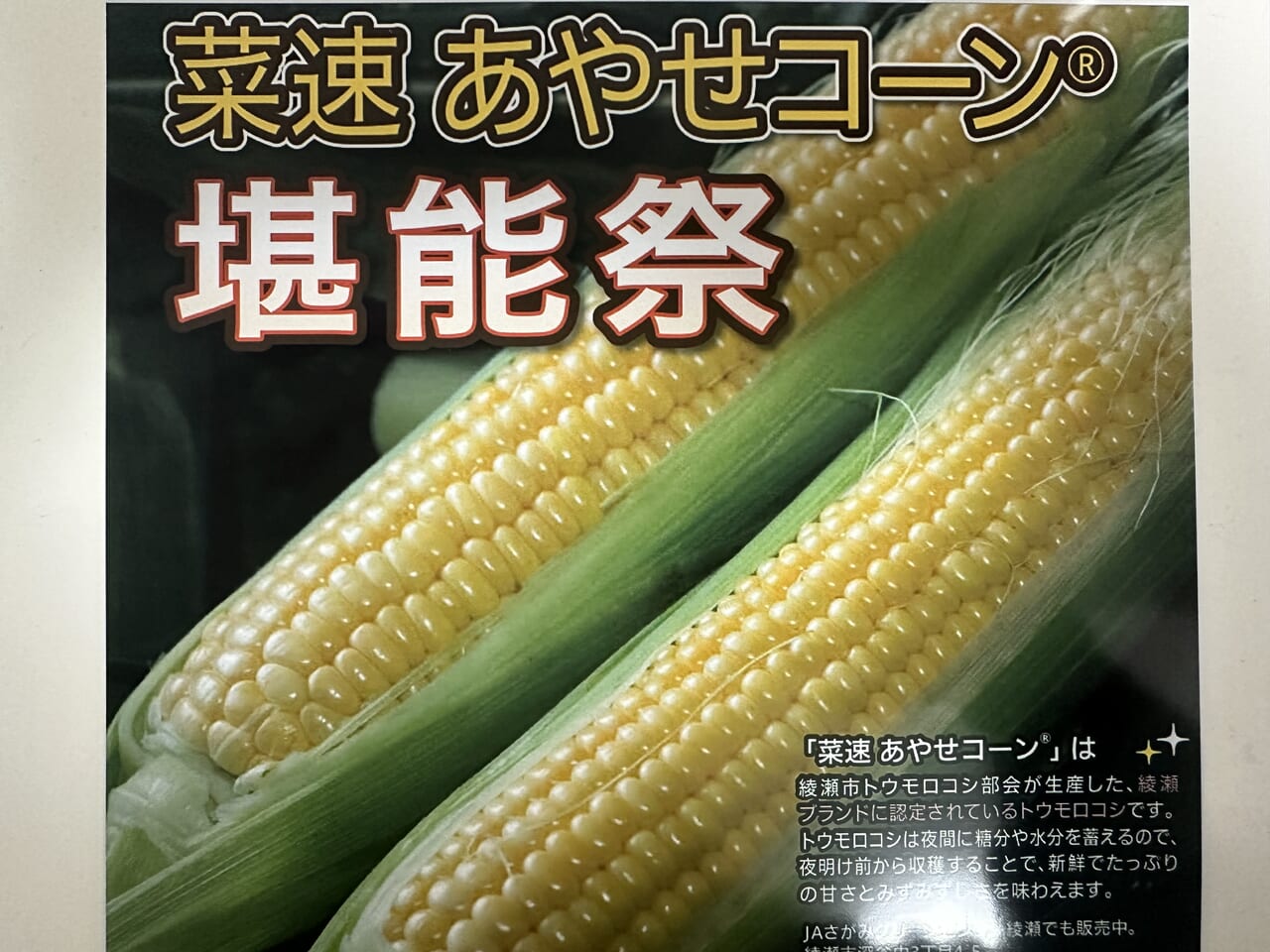 綾瀬市】旬を味わう！ 「菜速あやせコーン(R)堪能祭」が開催されます