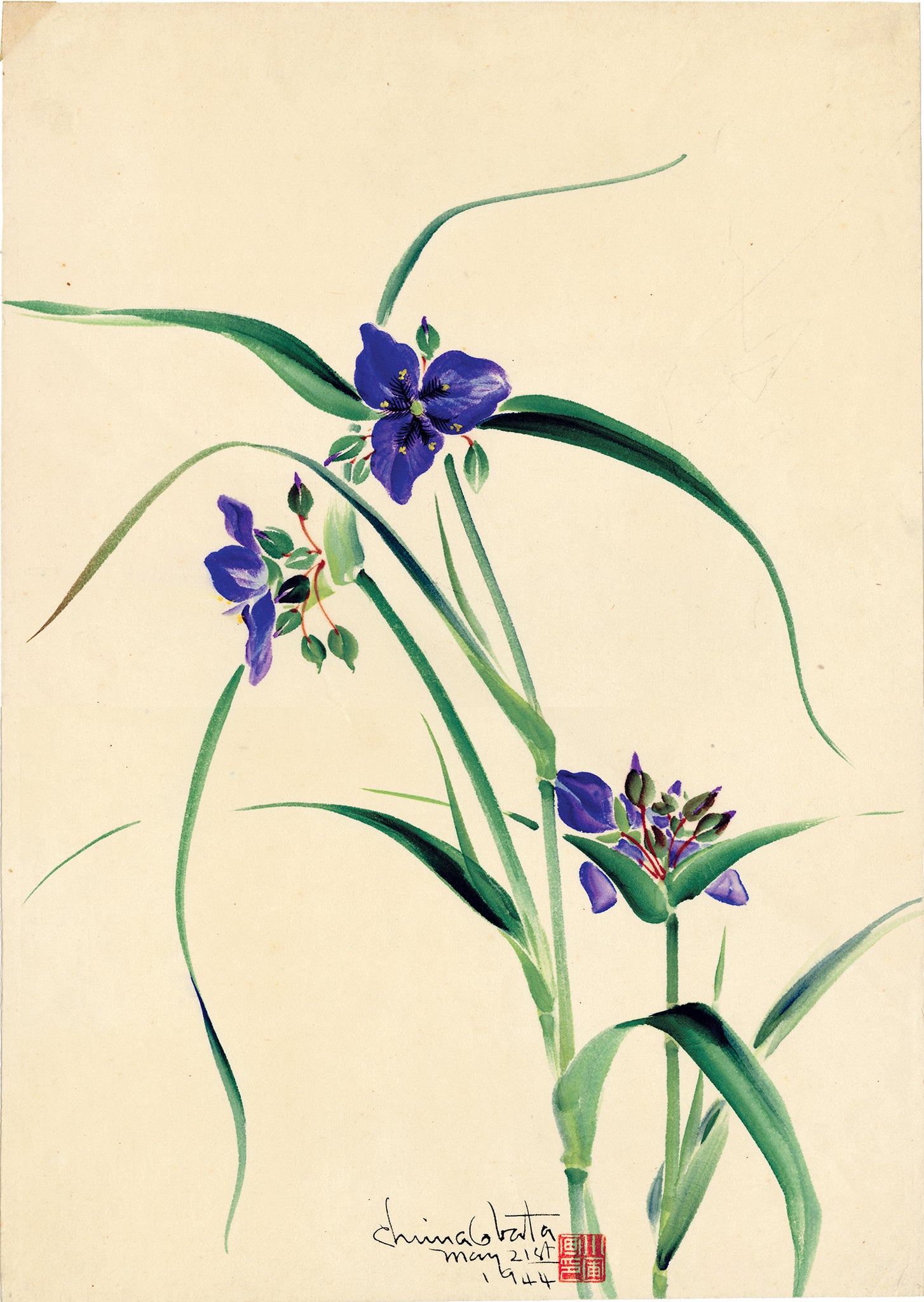 小幡：紫ツユクサの花の水彩画（販売） – Egenolf Gallery Japanese Prints