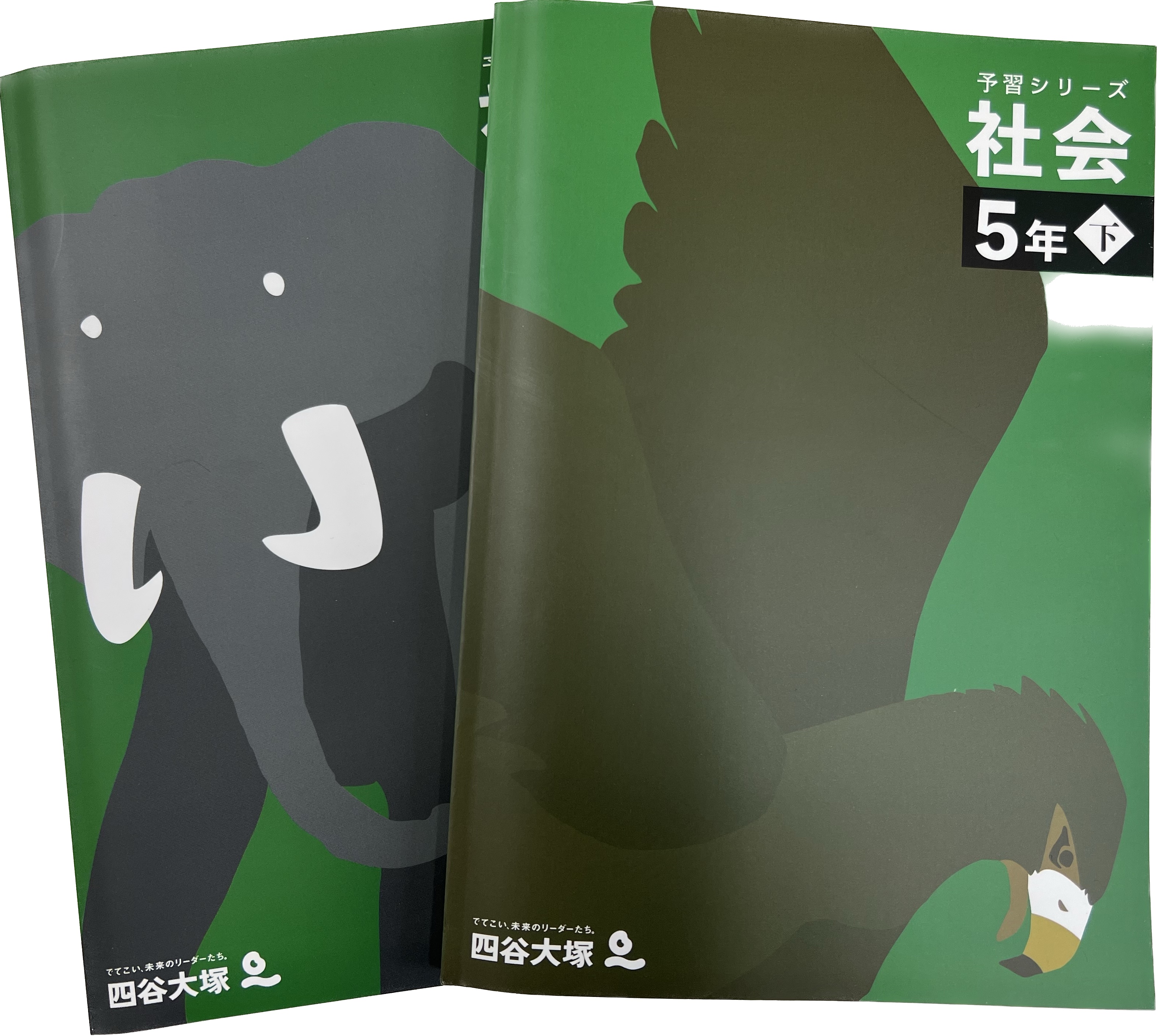 公式】中学受験の塾対策コース_四谷大塚 |家庭教師の札幌エデュオ