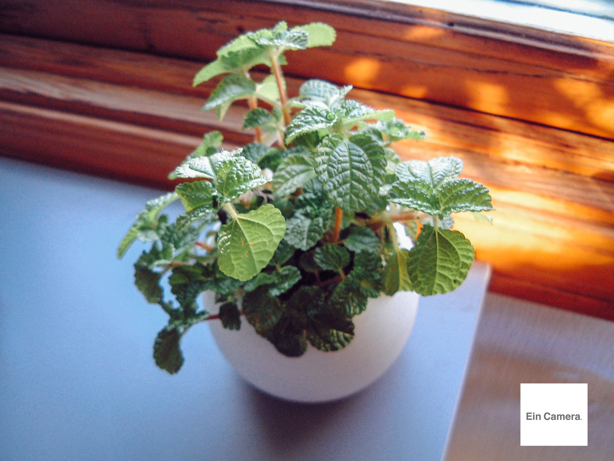 FUJIFILM FinePix 4700z【完動品】【希少✨】▪️オールドコンデジ