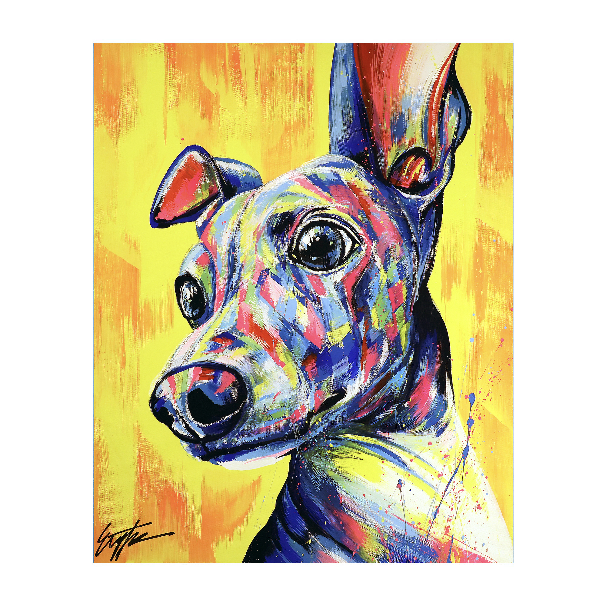 854880c758816ab0a87728d8e52e5c