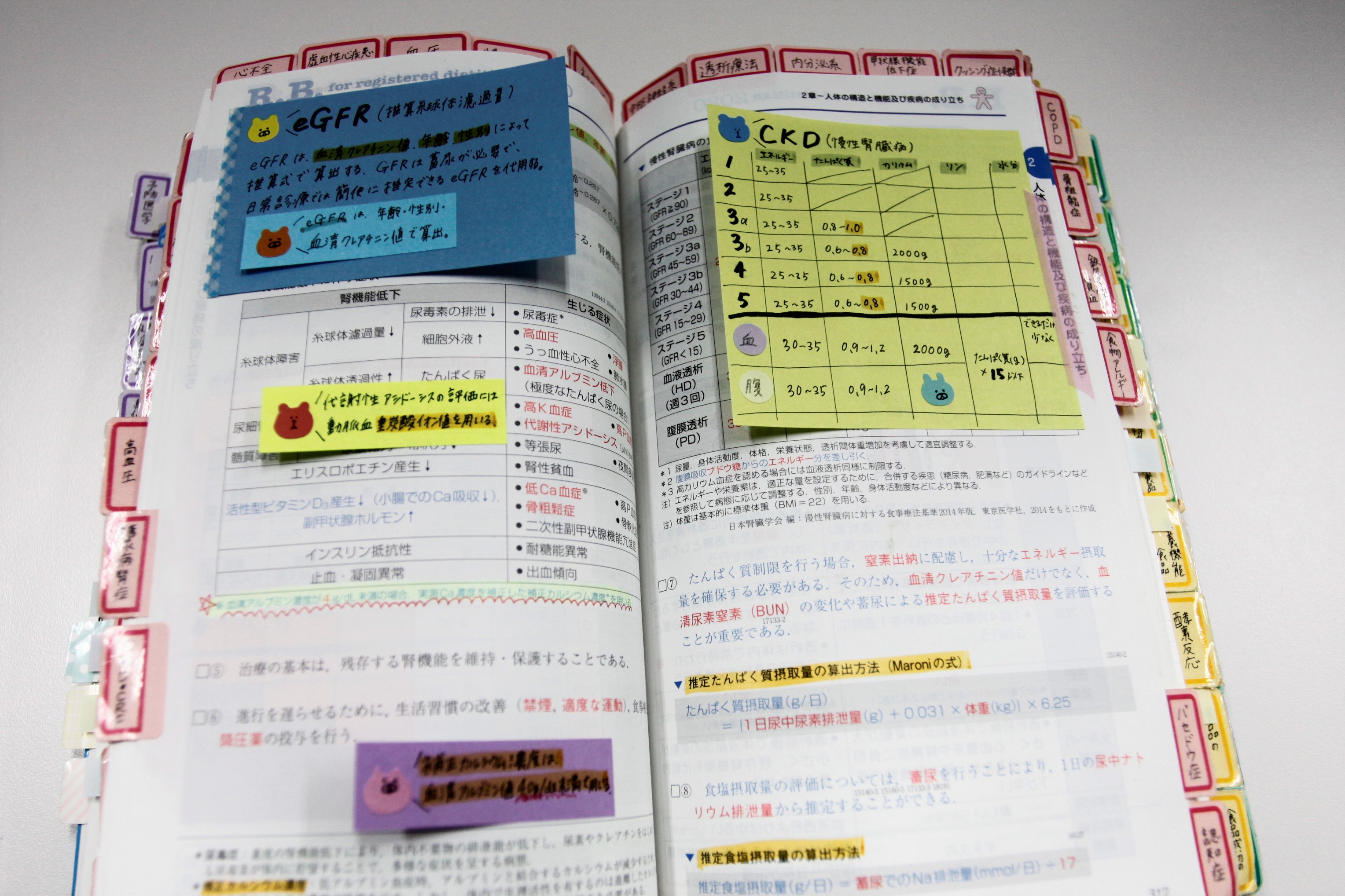 合格者に聞いた！マイレビューブックの”How to”～きなこ*ﾟさん