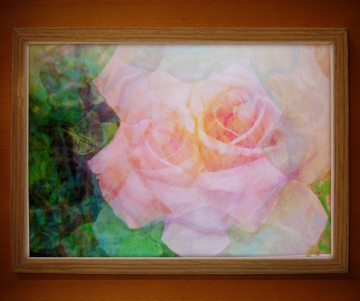 朝霧の薔薇1/5(植073)」 by 桐山昌弘｜Artmeter｜暮らしを彩るアートが