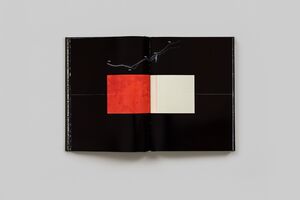 洋書 Michel Comte / Light Special Edition 洋書 Michel Comte