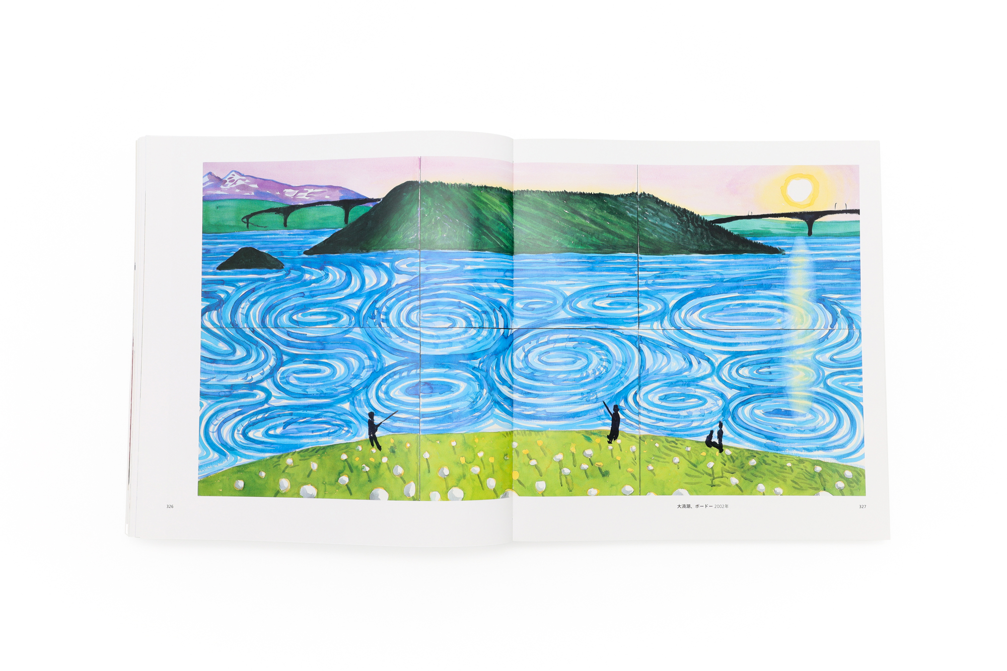 Hockney's Pictures (Japanese edition) | 青幻舎 SEIGENSHA Art