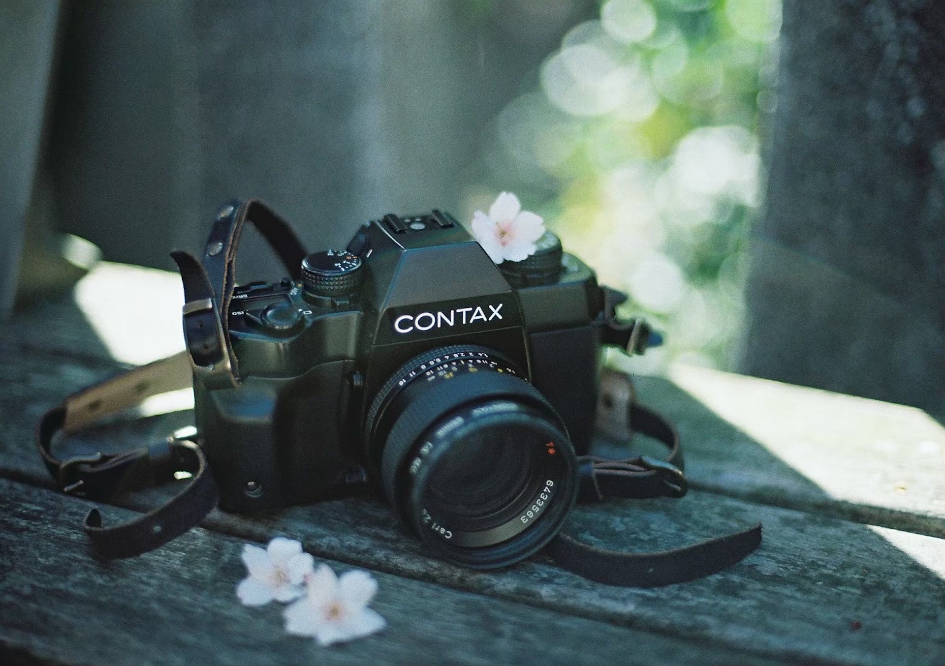 作例レビュー】Nikon F3 #わたしのカメラ vol.165｜ニコンのカメラ