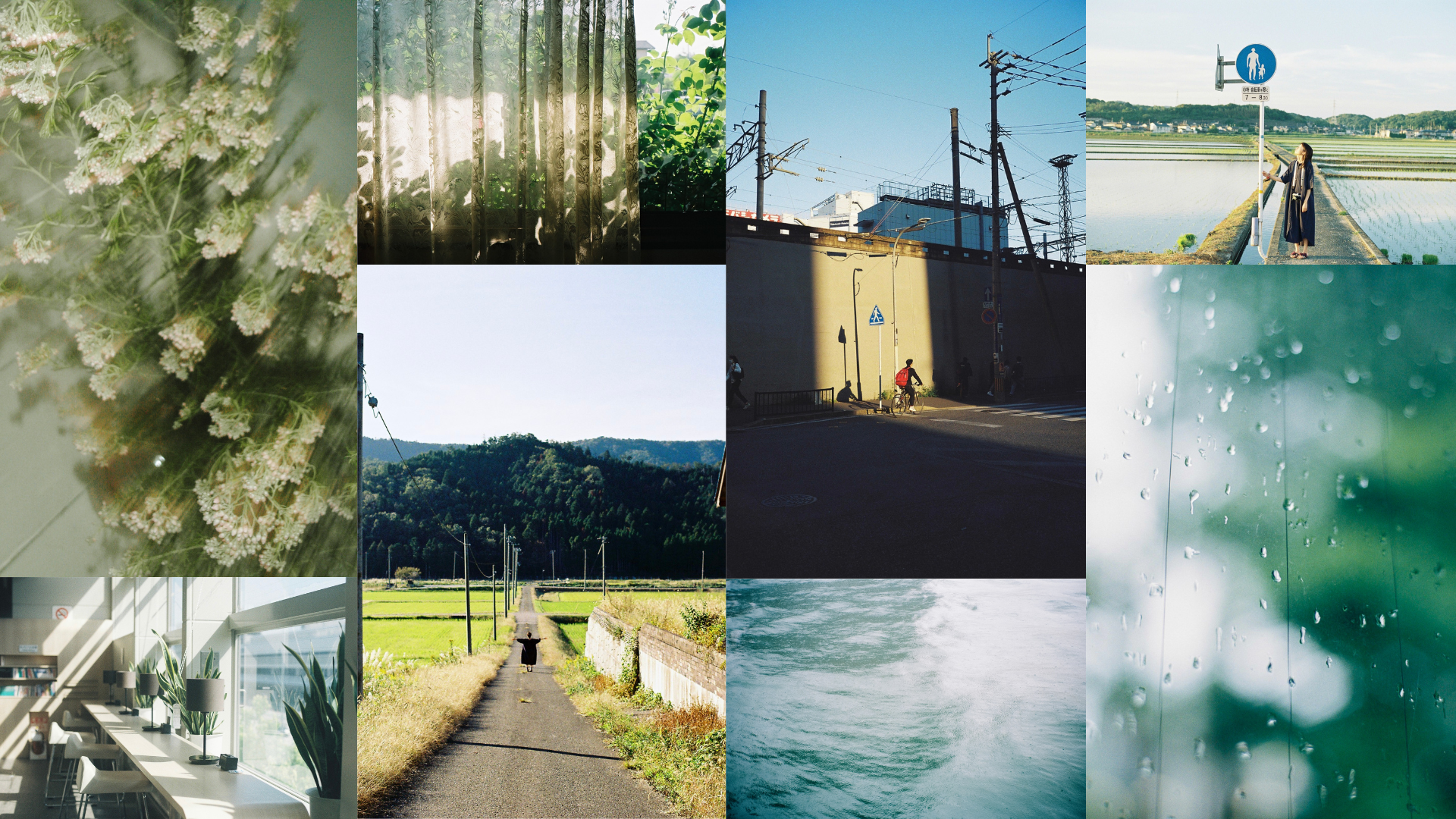 全40枚】CONTAX（コンタックス）シリーズ作例まとめ｜#わたしのカメラ