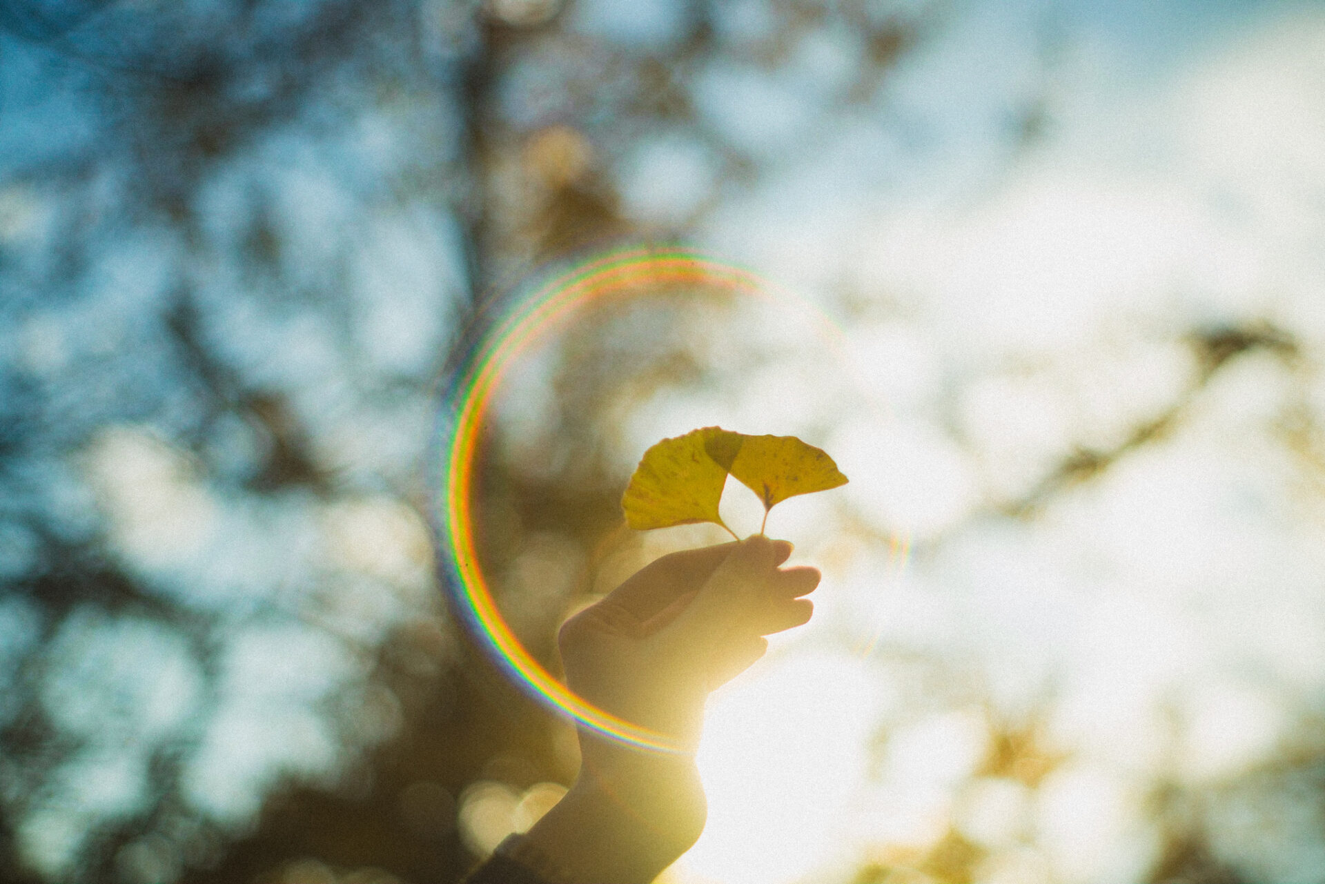 作例レビュー】Super Takumar 55mm F1.8｜ペンタックスのオールド