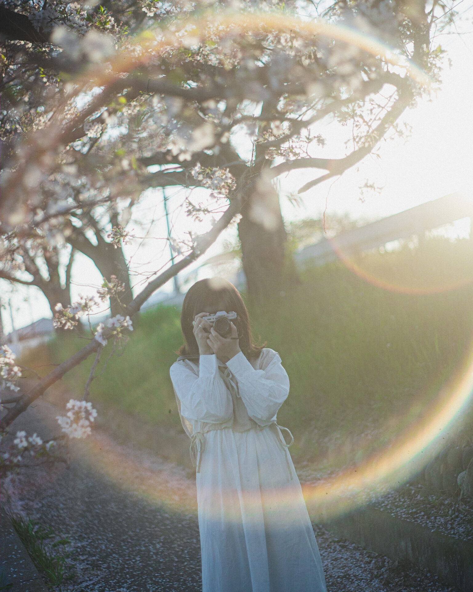 作例レビュー】Super Takumar 55mm F1.8｜ペンタックスのオールド