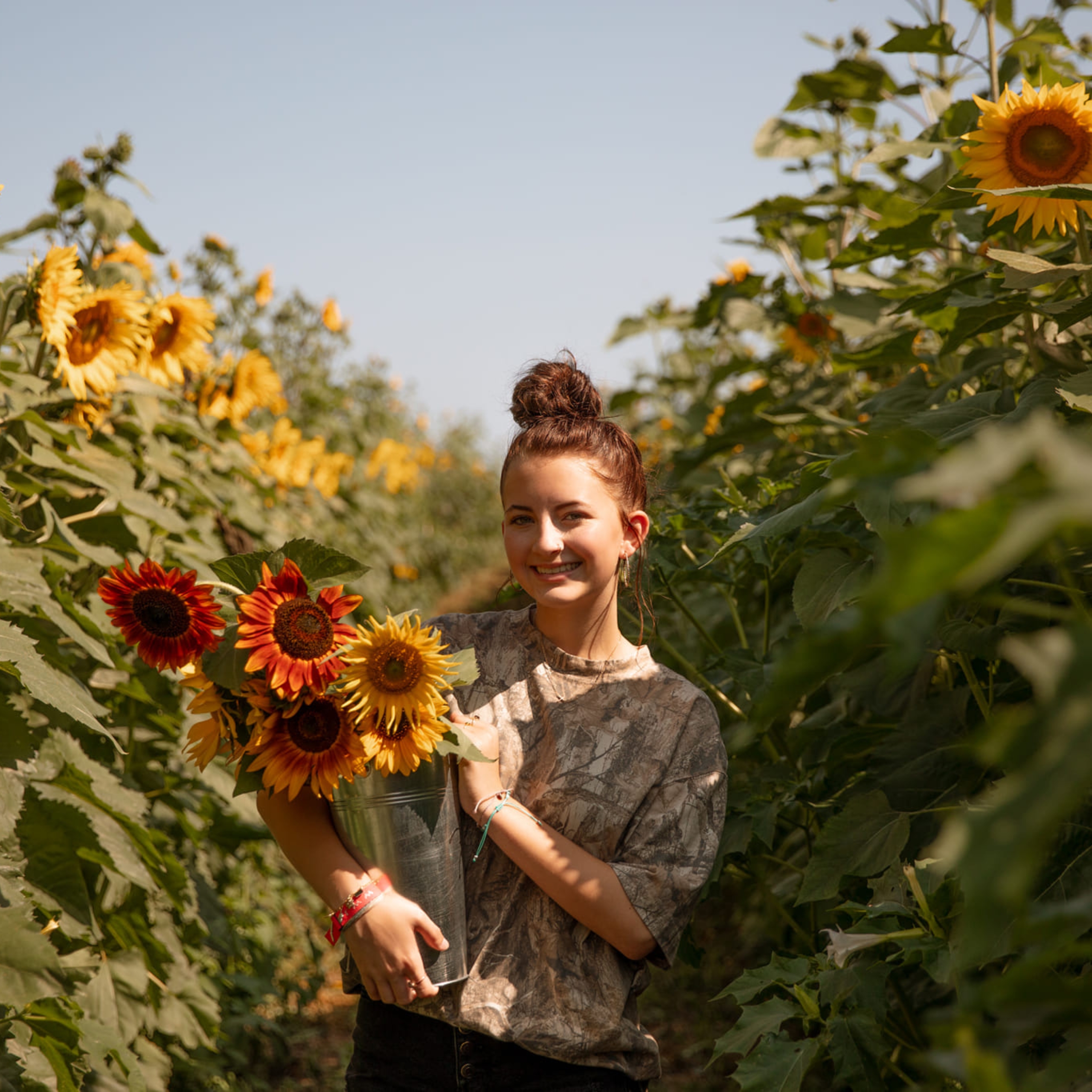 Sunflower Festival – Endless View Farms