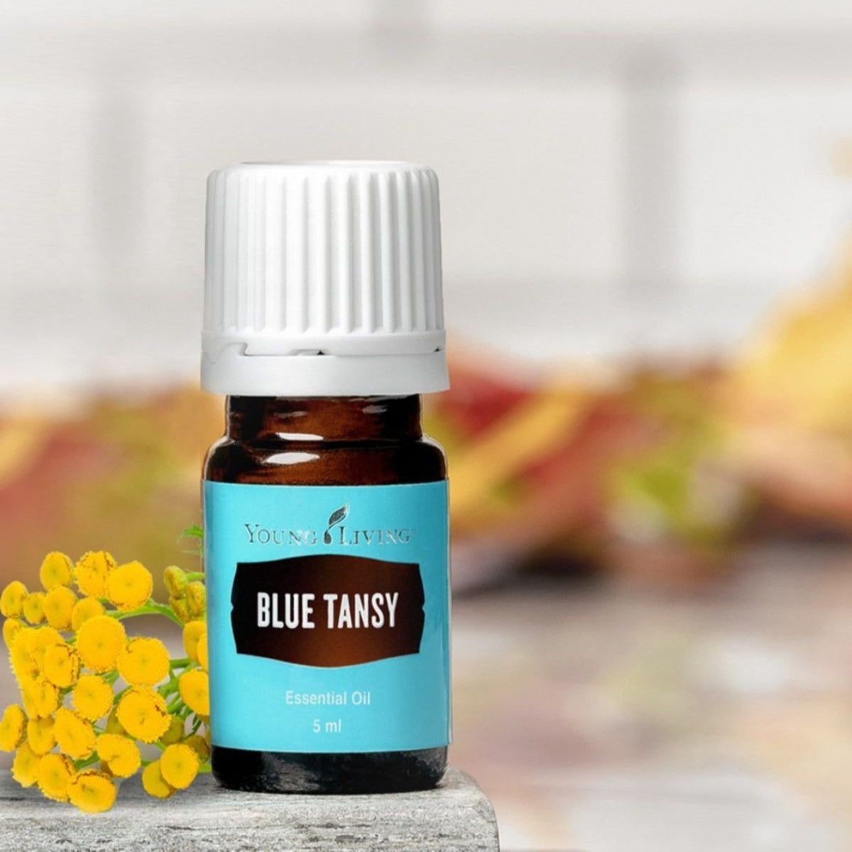 Young Living Blue Tansy Essential Oil - 5ml – Essential Oil Life