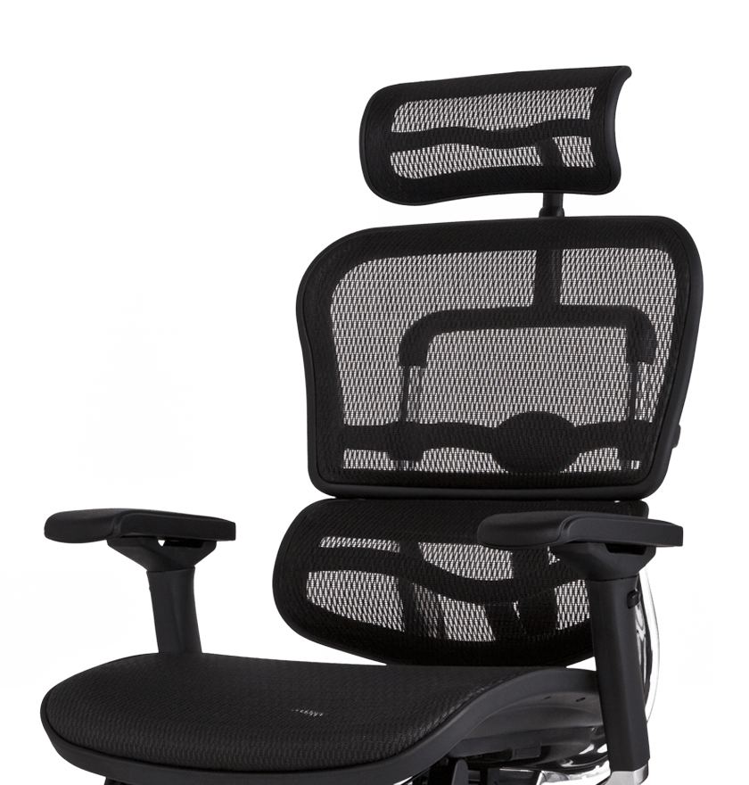 エルゴヒューマン ベーシック / ヘッドレスト有り【メーカー組み立て