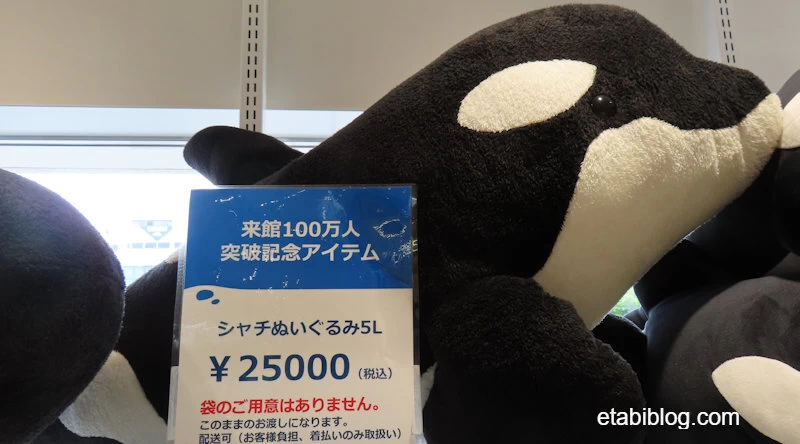 2026年最新】須磨シーワールドのシャチぬいぐるみ完全ガイド！