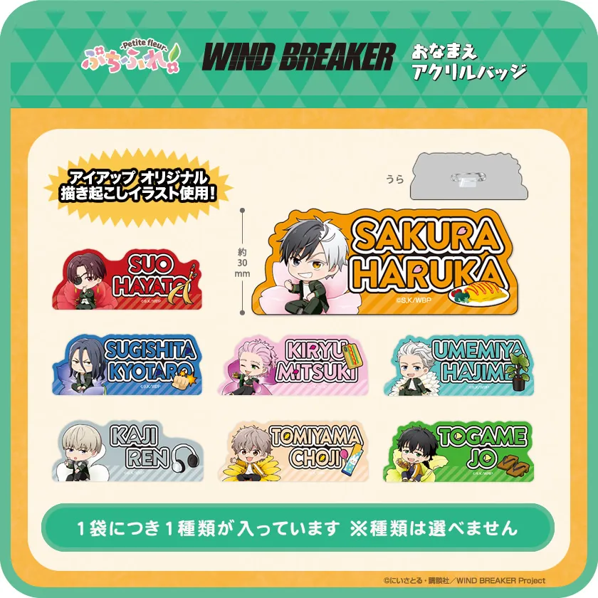 アイアップ公式通販】TVアニメ『WIND BREAKER』 ぷちふれ おなまえ