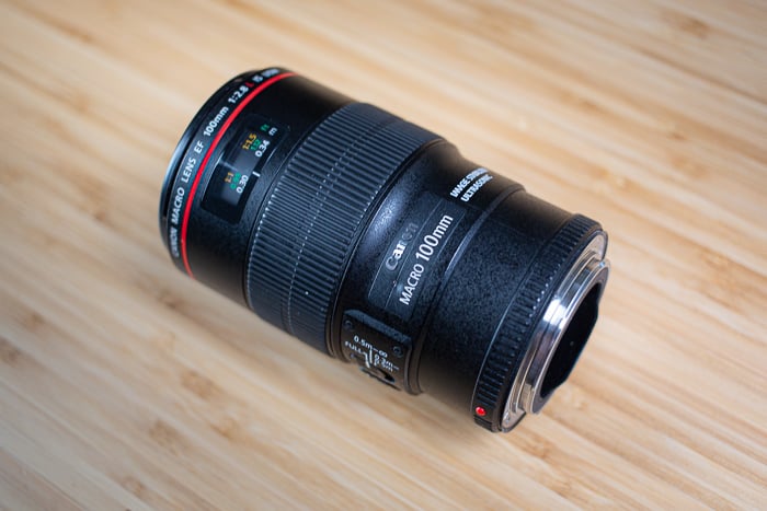 Canon EF 100mm f/2.8L USM Macro Lens Review 2026