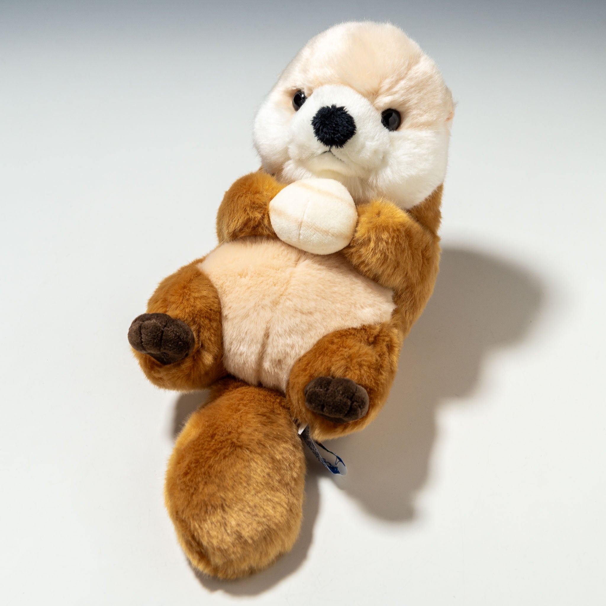 CUTE キュート販売 ぬいぐるみ マリンコレクション ラッコ M M0299