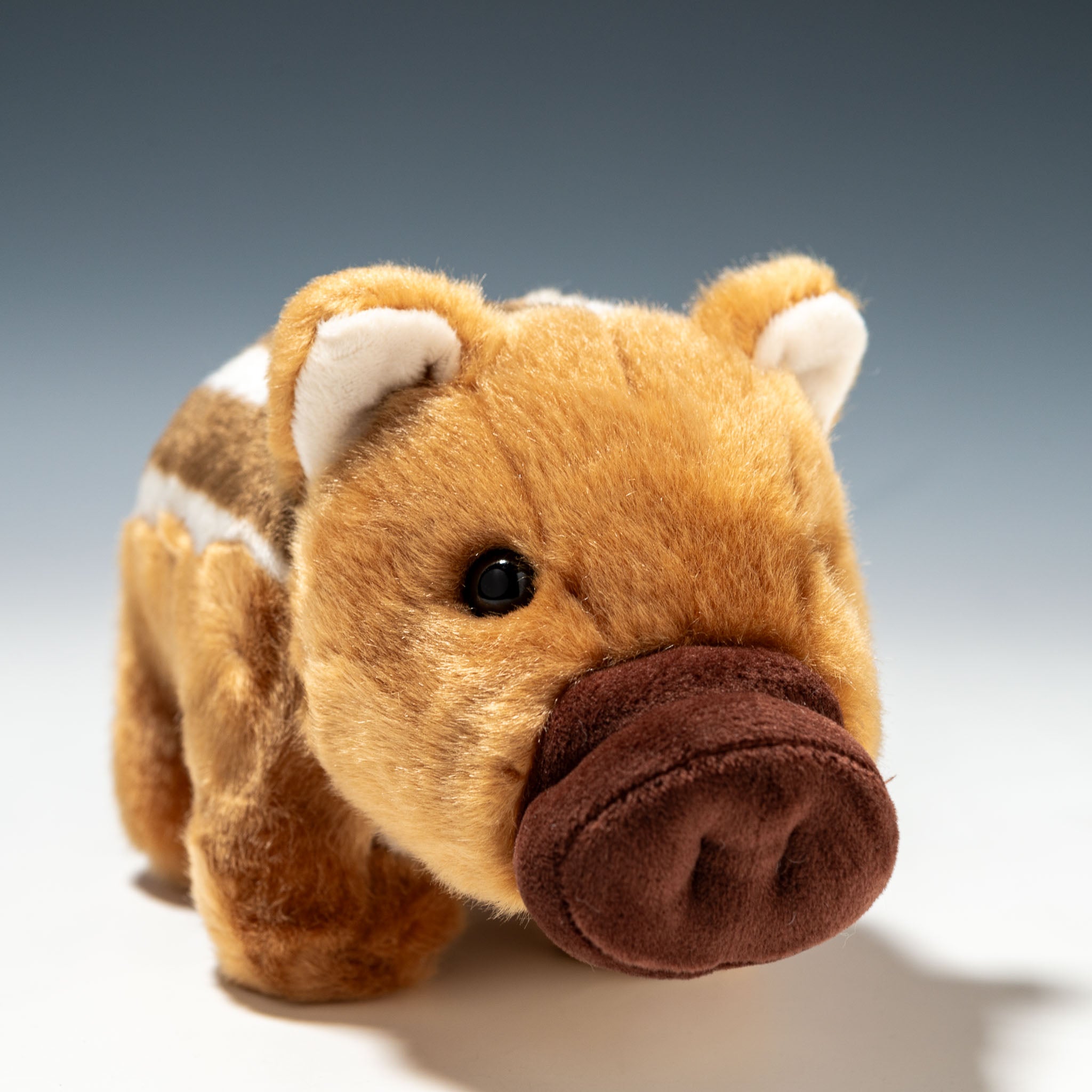 CUTE キュート販売 ぬいぐるみ どうぶつえんコレクション うり坊 SS