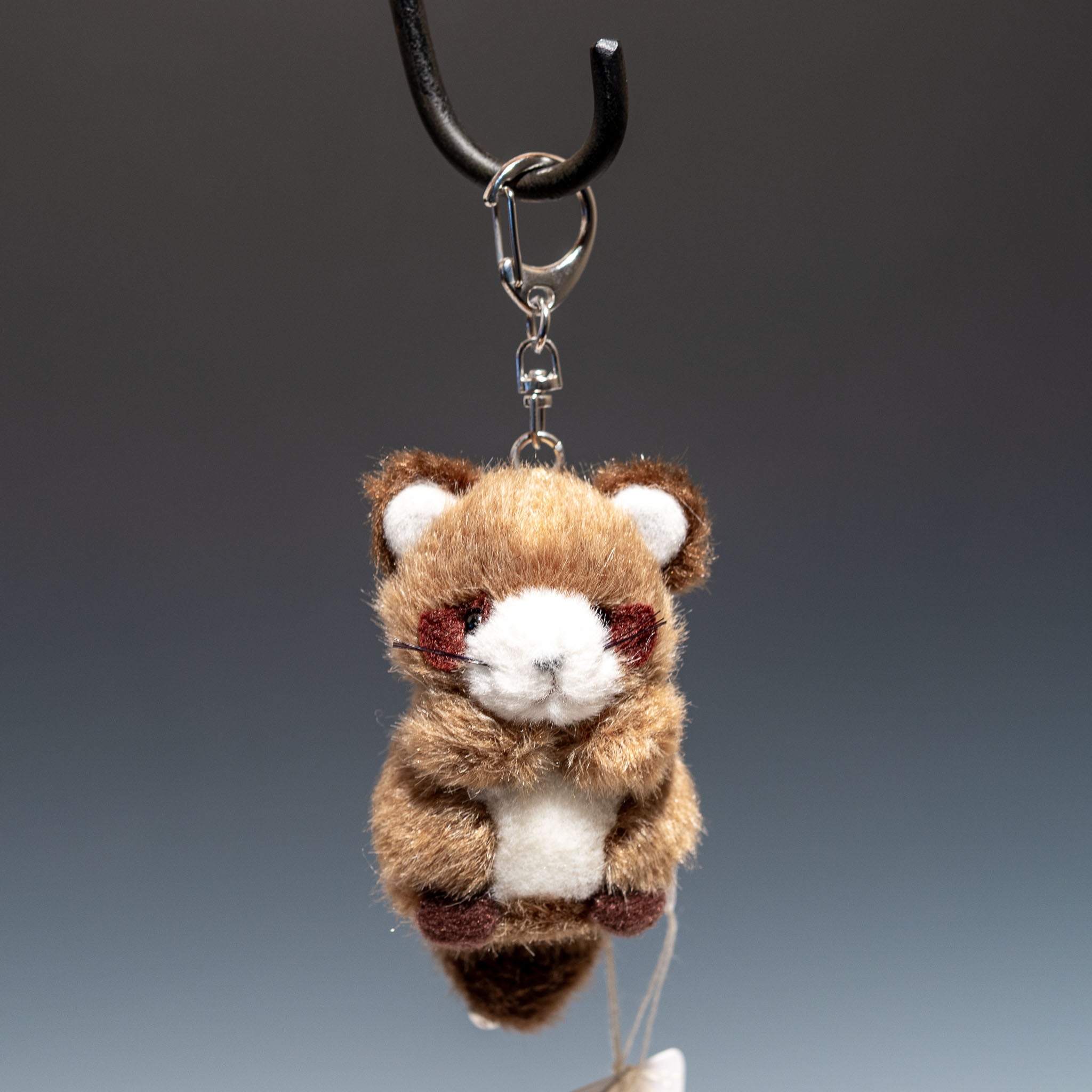 たけのこ TAKENOKO ぬいぐるみ ミニミニキッズ タヌキ 48547