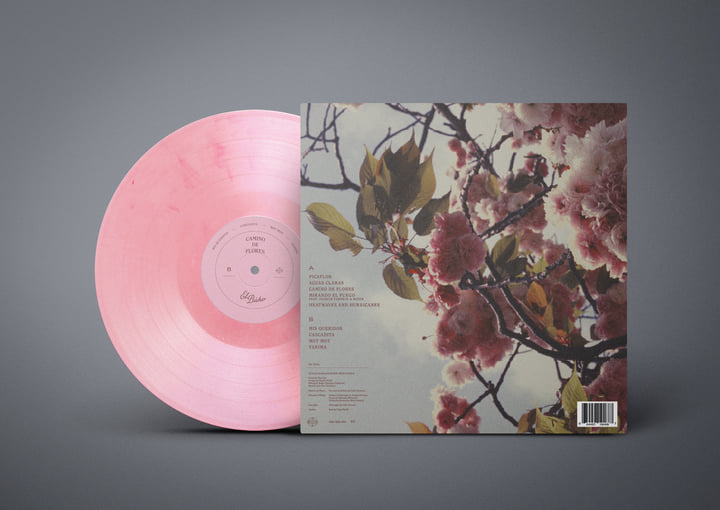 Camino de Flores | El Búho