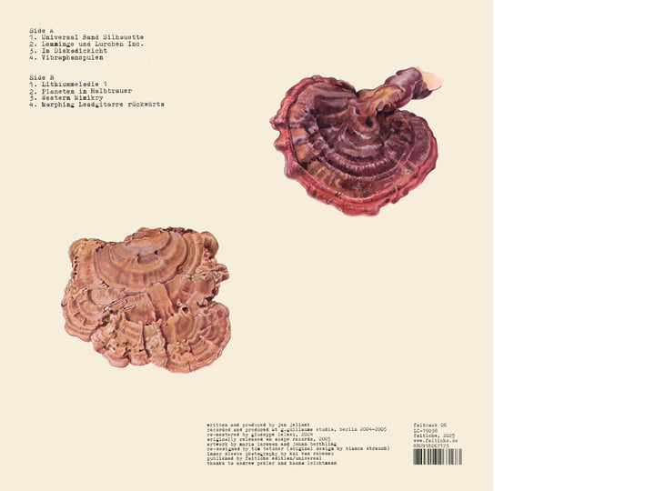 Kosmischer Pitch | Jan Jelinek